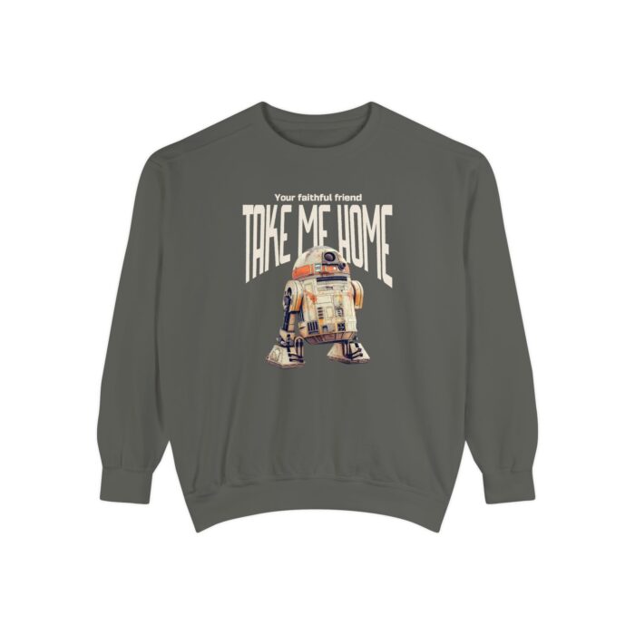 Take me home Unisex Garment-Dyed Sweatshirt - Image 5