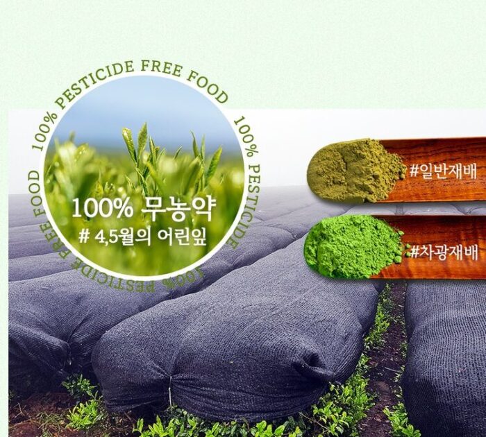 MUARUS Jeju Pesticide-Free Matcha 100% 100g - Image 3