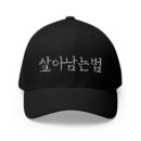 GO FORWARD Embroidered Korean Phrase Cap - Stylish Closed-Back Structured Hat for Everyday Wear