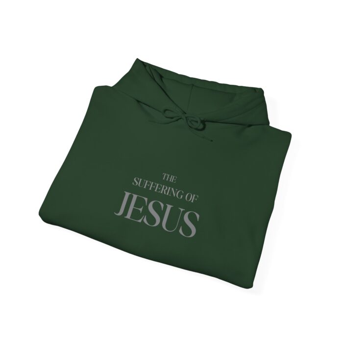 The suffering of Jesus Unisex Heavy Blend™ Hooded Sweatshirt - Image 12