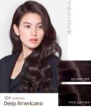 mise en scène Salon Plus Clinic 10 (for Dyeing+Gray Hair Combination)
