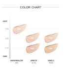 VDL Cover Stain Perfecting Cushion 13g