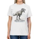 ANCIENT GIANTS Unisex Triblend Tee