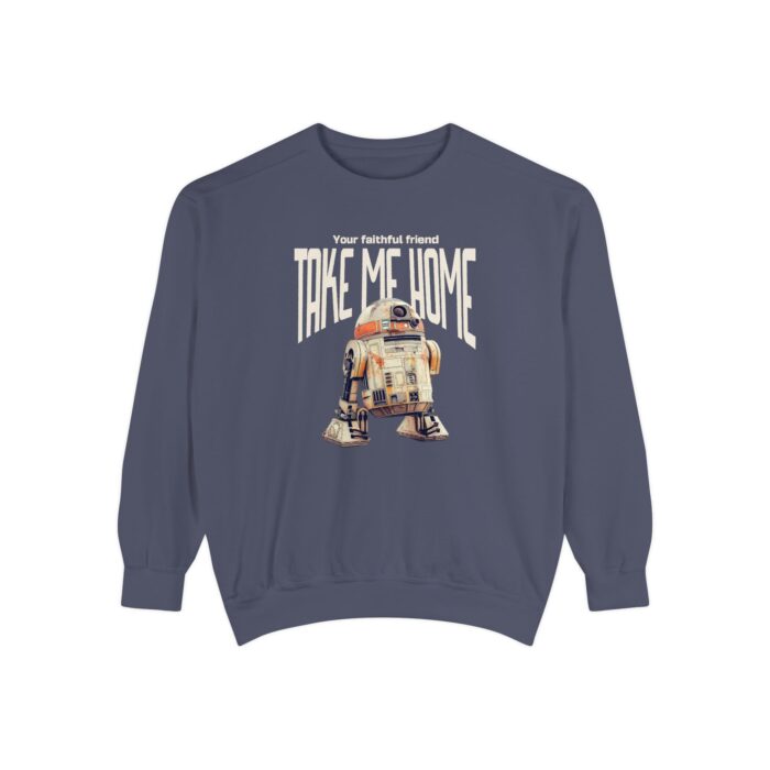 Take me home Unisex Garment-Dyed Sweatshirt - Image 25