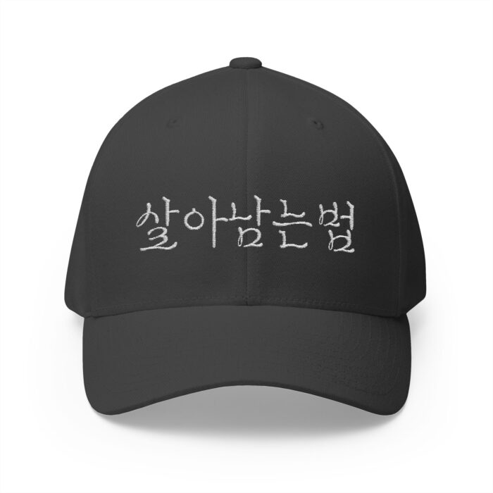 GO FORWARD Embroidered Korean Phrase Cap - Stylish Closed-Back Structured Hat for Everyday Wear