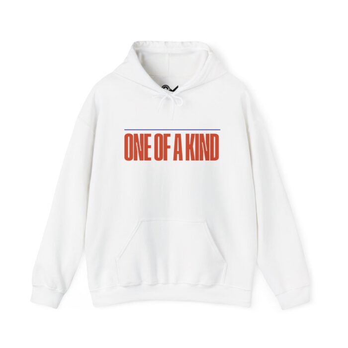 One of a kind Unisex Heavy Blend™ Hooded Sweatshirt