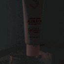 BE THE SKIN Sebum Zero Aloerice Vegan Sun Cream SPF 50+ PA++++ 50ml - EmpressKorea