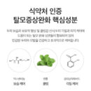 DERMA FACTORY Anti Hair Loss Repair Treatment 150g*2pcs Brewer's Yeast Protein Supply Caffeine Argan Kernel Oil Natural Active Ingredients Scalp Hair Care - EmpressKorea