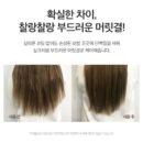 DERMA FACTORY Anti Hair Loss Repair Treatment 150g*2pcs Brewer's Yeast Protein Supply Caffeine Argan Kernel Oil Natural Active Ingredients Scalp Hair Care - EmpressKorea