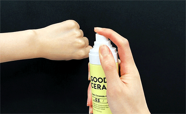 HOLIKA HOLIKA Good Cera Super Ceramide Mist 120ml - EmpressKorea