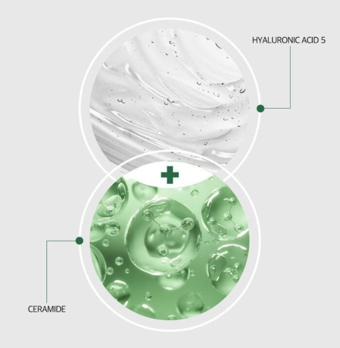 MEDI-PEEL Phyto Cica-Nol B5 Repair Cream 50g - EmpressKorea