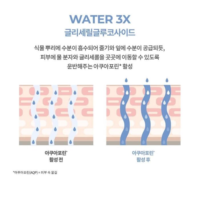 MEDIHEAL WATERMIDE ESSENTIAL MASK 10pcs - EmpressKorea