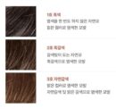 MODA MODA Pro Change Hair Cover Stick (3 Colors) 3.5g - EmpressKorea