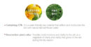 TONYMOLY Floria Nutra Energy 100 Hours Cream 50ml - EmpressKorea