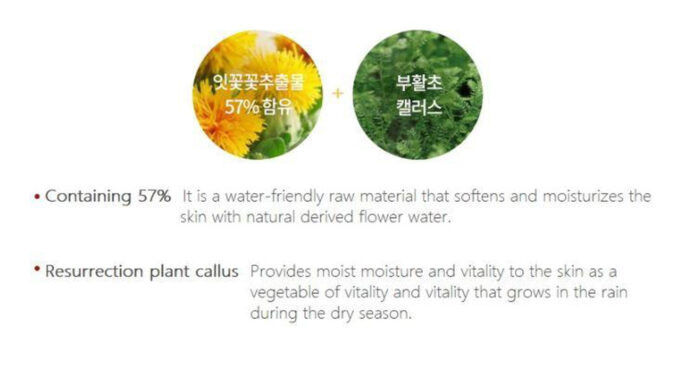 TONYMOLY Floria Nutra Energy 100 Hours Cream 50ml - EmpressKorea