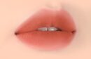 TONYMOLY The Shocking Lip Blur (8 Colors) 4g - EmpressKorea