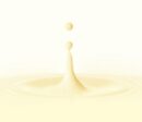 Torriden SOLID-IN Ceramide All Day Essence 100ml - EmpressKorea