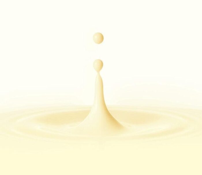 Torriden SOLID-IN Ceramide All Day Essence 100ml - EmpressKorea