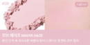 VDL Cheek Stain Blusher 6g - EmpressKorea