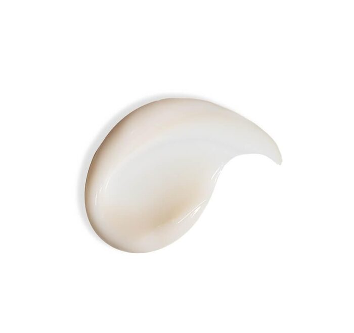V&A Antioxidant Hydration Cream 50ml - EmpressKorea