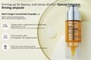 WELLAGE Real Collagen Concentrate Ampoule 15ml - EmpressKorea