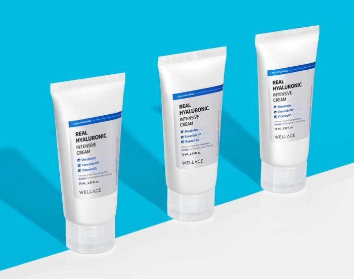 WELLAGE Real Hyaluronic Intensive Cream 75ml - EmpressKorea