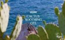 YADAH Cactus Soothing Gel 250ml - EmpressKorea
