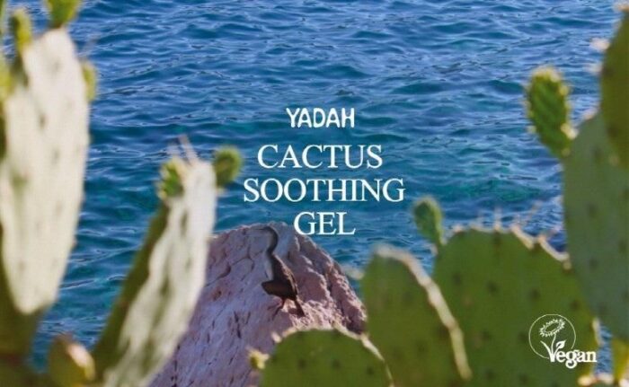 YADAH Cactus Soothing Gel 250ml - EmpressKorea