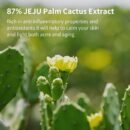 YADAH Cactus Toner 210ml - EmpressKorea