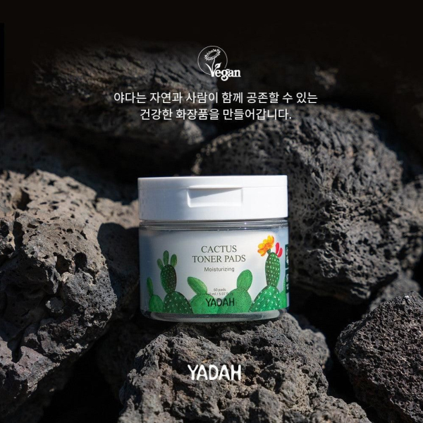 YADAH Cactus Toner Pad 60p 150ml - EmpressKorea