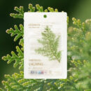 mixsoon Daily Mask Pack Wednesday 20ml*10ea