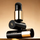 VINNE All Cover Perfect Hair Cushion Stick 5.1g