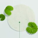 make p:rem Inteca Soothing Pad 180ml 70EA - EmpressKorea