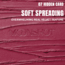 moonshot Performance Lip Blur Fixing Tint (9 Colors) 3.5g - EmpressKorea