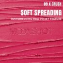 moonshot Performance Lip Blur Fixing Tint (9 Colors) 3.5g - EmpressKorea