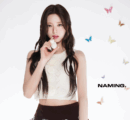 "meta_description": "Discover the viral lip tint sensation - NAMING Glow Heart Lip Tint for a natural, dreamy finish.",