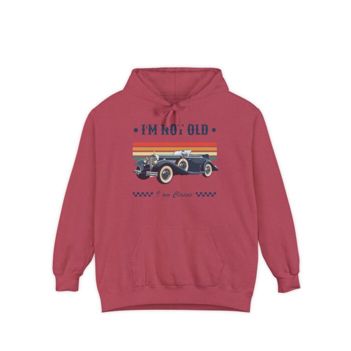 I am Classic Unisex Garment-Dyed Hoodie - Image 29