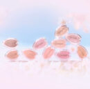 dasique Blooming Single Shadow 1.7g (Pink Blossom Collection)