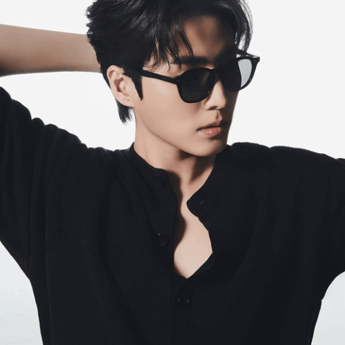 RECLOW Zehe Folding Sunglasses – Black - Fashion